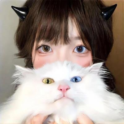 星光歌王涅槃重生